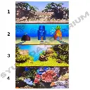 id-11134207-7rasm-m3ucv58foezg22.webp