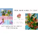 id-11134207-7rbk9-m8w5dyiqxcpef7.webp