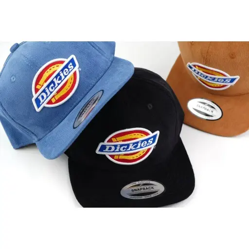 Topi Snapback